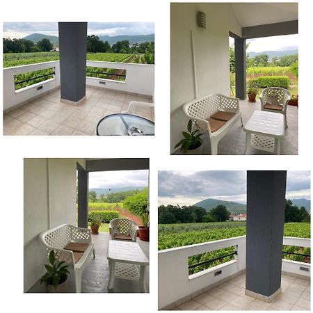 Rooms Nikola Rule Ostojic Međugorje Exteriör bild