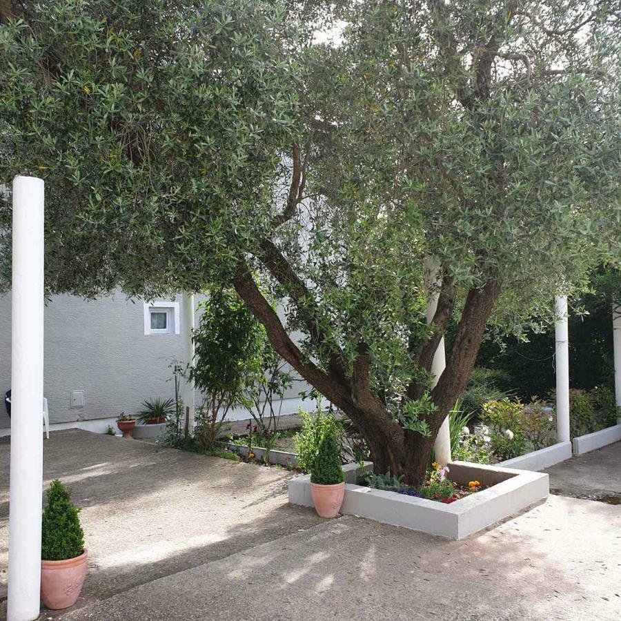 Rooms Nikola Rule Ostojic Međugorje Exteriör bild